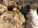 photo thumbnail #11
