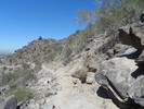 photo thumbnail #2