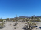 photo thumbnail #2