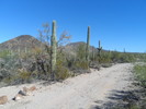photo thumbnail #5