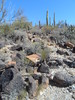 photo thumbnail #7