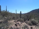 photo thumbnail #10
