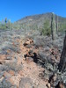 photo thumbnail #11