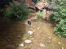 photo thumbnail #1