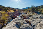 photo thumbnail #9