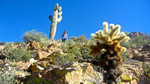 photo thumbnail #15