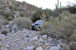 photo thumbnail #6