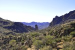photo thumbnail #10