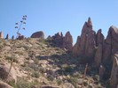 photo thumbnail #5