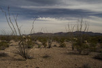 photo thumbnail #14
