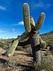 photo thumbnail #13