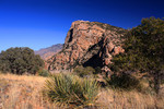 photo thumbnail #9