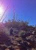 photo thumbnail #1