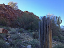 photo thumbnail #6