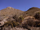 photo thumbnail #8