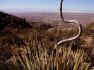 photo thumbnail #14