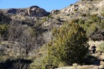 photo thumbnail #5