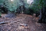 photo thumbnail #14