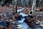 photo thumbnail #15