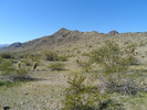 photo thumbnail #1
