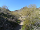 photo thumbnail #3