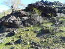 photo thumbnail #11