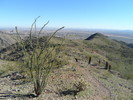 photo thumbnail #15
