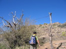 photo thumbnail #4