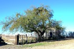 photo thumbnail #2