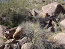 photo thumbnail #6