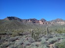 photo thumbnail #1