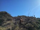 photo thumbnail #3