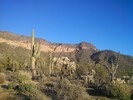 photo thumbnail #5