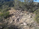 photo thumbnail #5