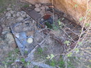 photo thumbnail #2