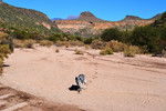 photo thumbnail #6