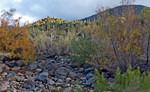 photo thumbnail #3