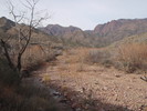 photo thumbnail #4