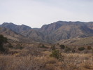 photo thumbnail #12