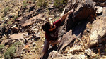 photo thumbnail #3