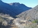 photo thumbnail #7