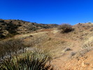 photo thumbnail #2