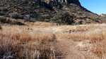 photo thumbnail #9