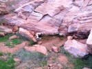 photo thumbnail #5