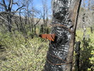 photo thumbnail #3