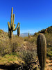 photo thumbnail #10