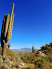 photo thumbnail #11