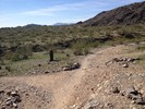 photo thumbnail #6