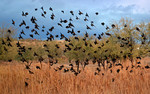 photo thumbnail #7