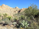 photo thumbnail #2